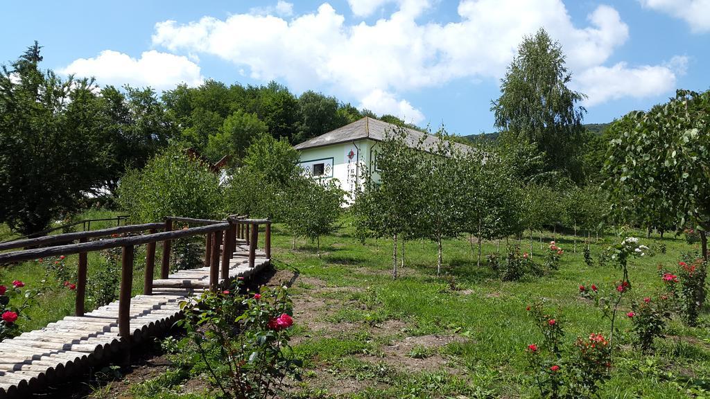 Готель Activ Parc Negresti Екстер'єр фото