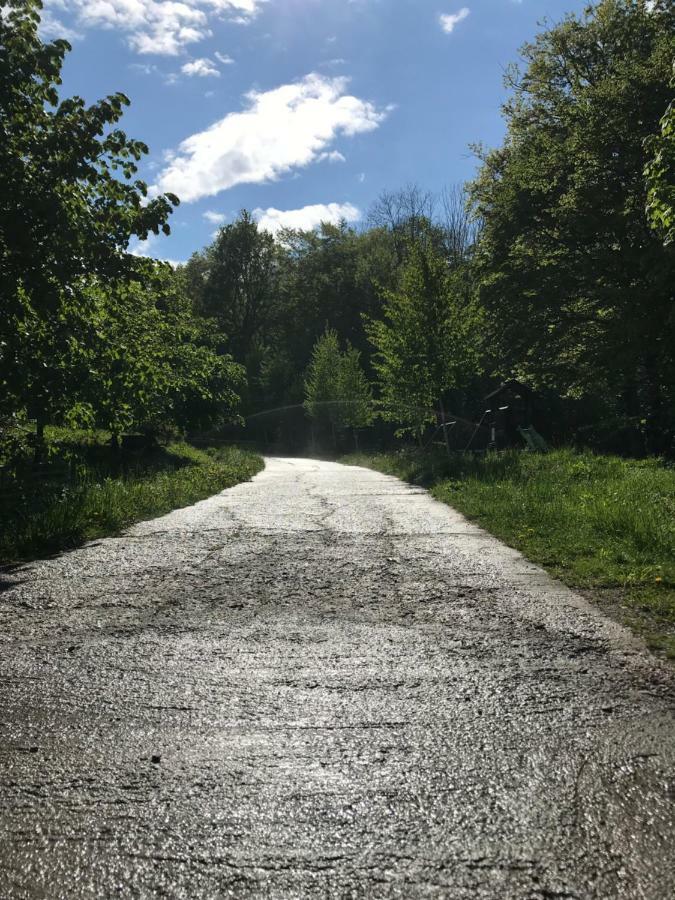 Готель Activ Parc Negresti Екстер'єр фото